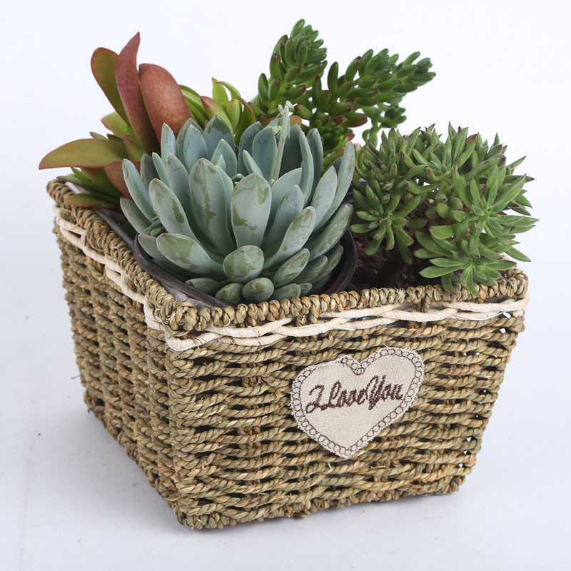 Origin Handmade Creative Willow Flower Basket Lovely Garden Wind Grass Flower Pot Furniture Decoration Woven Fleshy Vase Square Large Small Set 2 Flower Basket Application Scenario