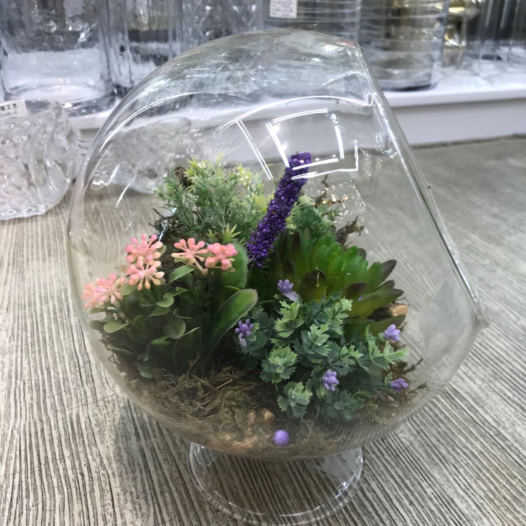 A small and fresh home decoration micro-landscape high borosilicate vase Application Scenario