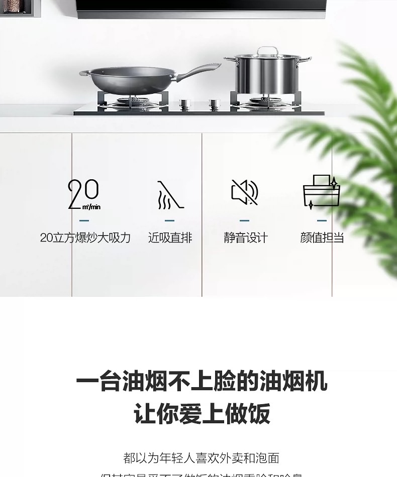 Shuaikang Range Hood Top 10 Brands Ranking: Household Kitchen High Suction Power Side suction exhaust Oil Extraction Machine 8707S details Picture