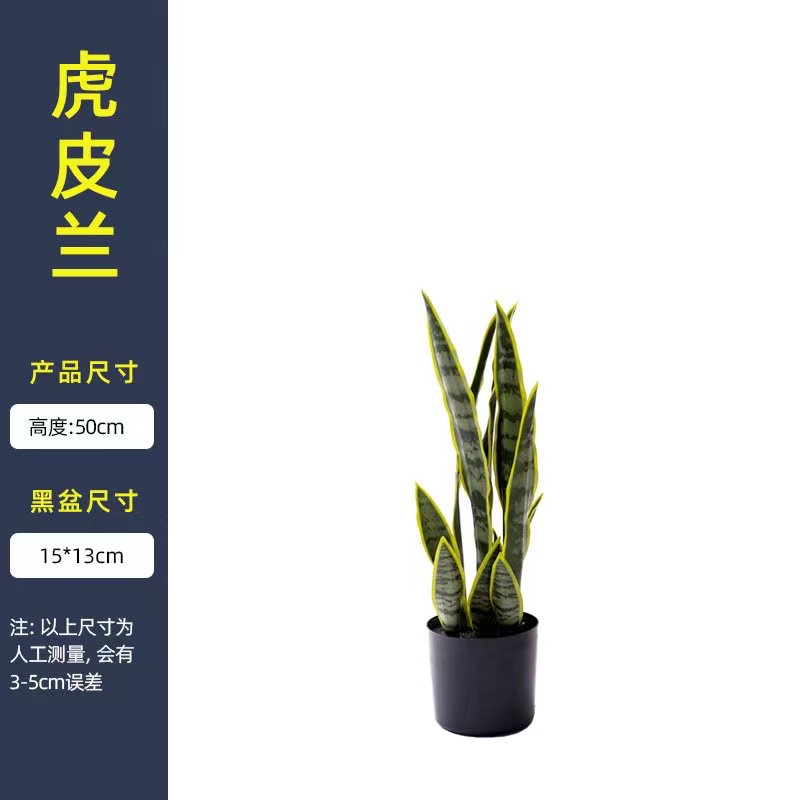 仿真兰龙舌兰金边多肉绿植物盆栽产品图