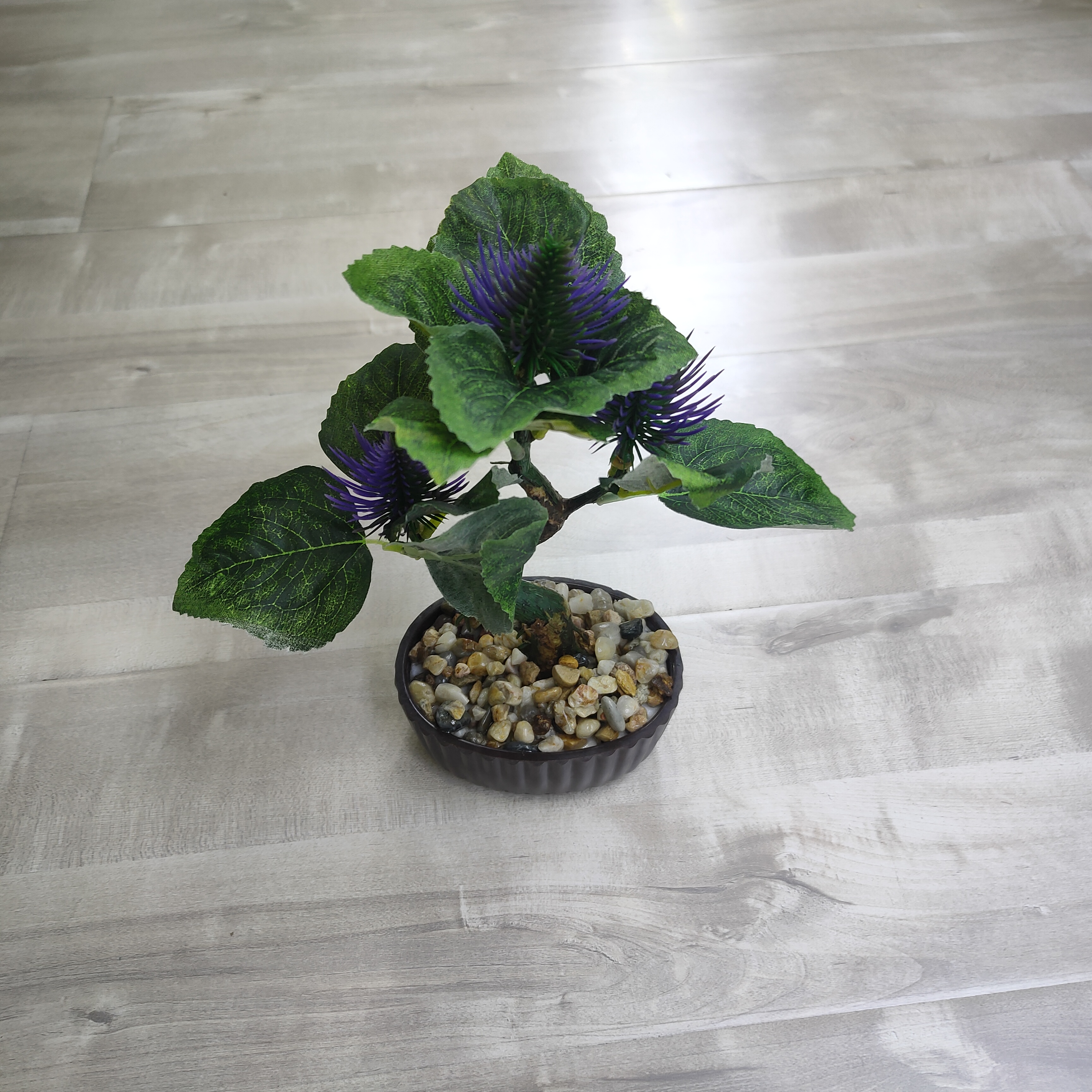 仿真/盆栽/植物细节图