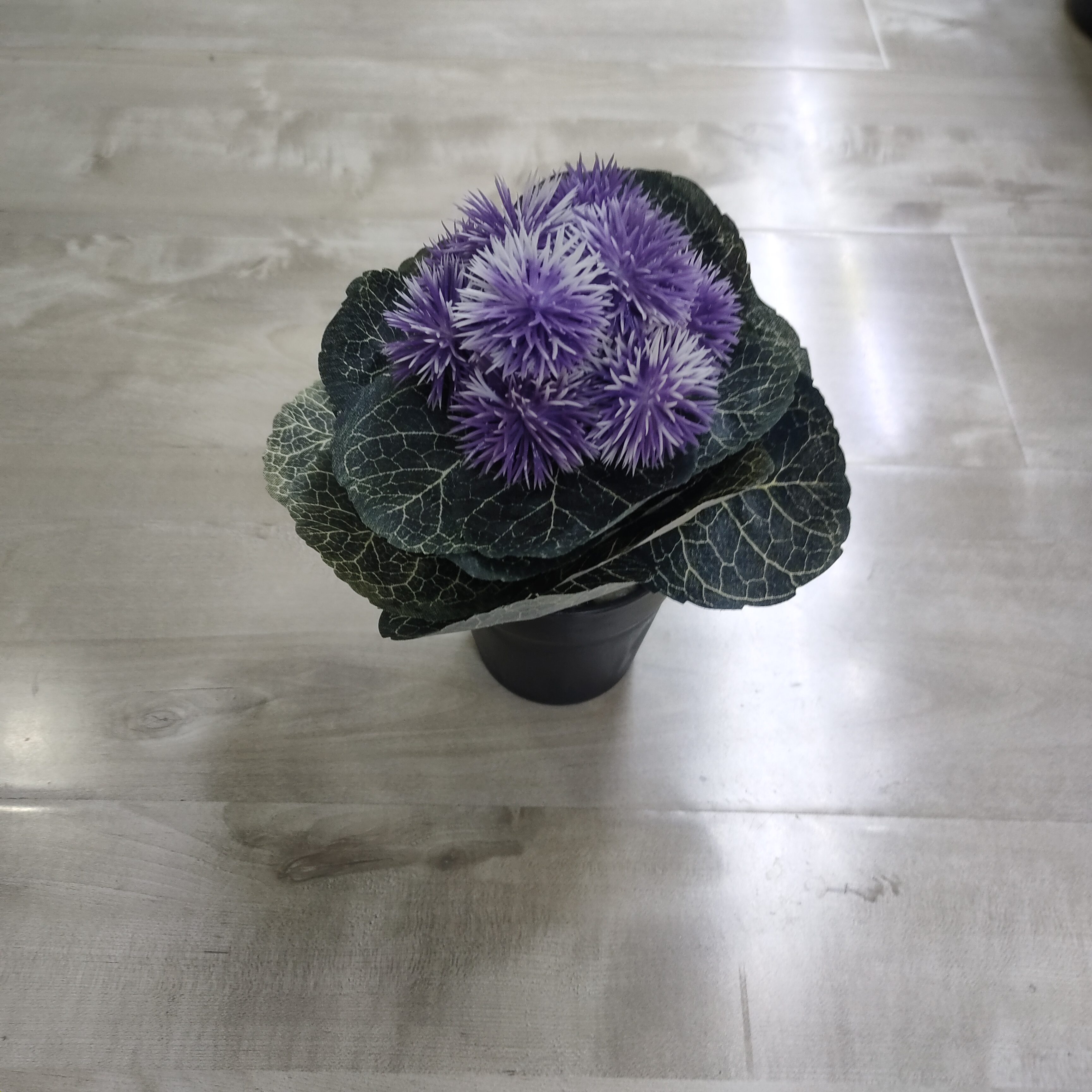 仿真/盆栽/植物细节图