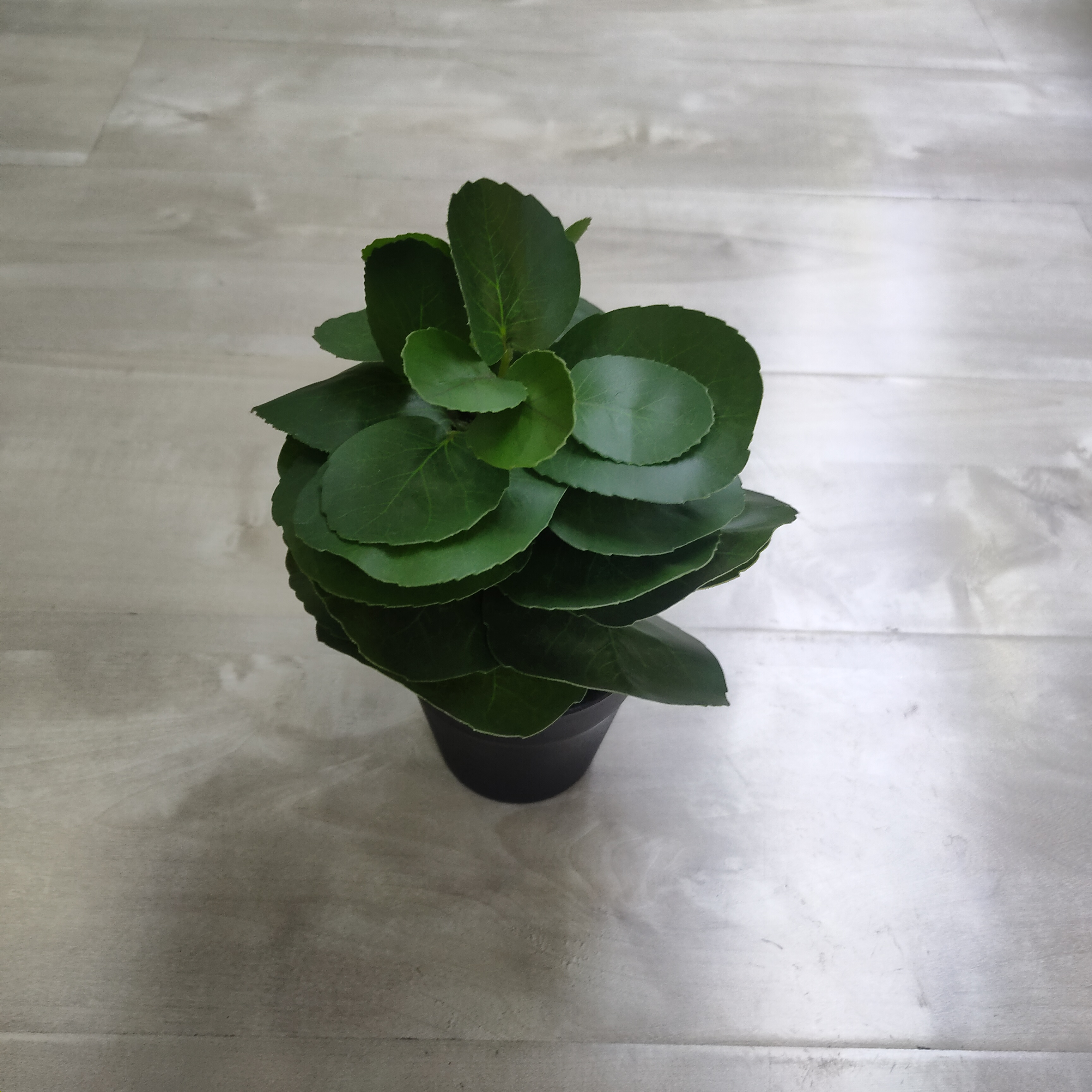 仿真盆栽实物图