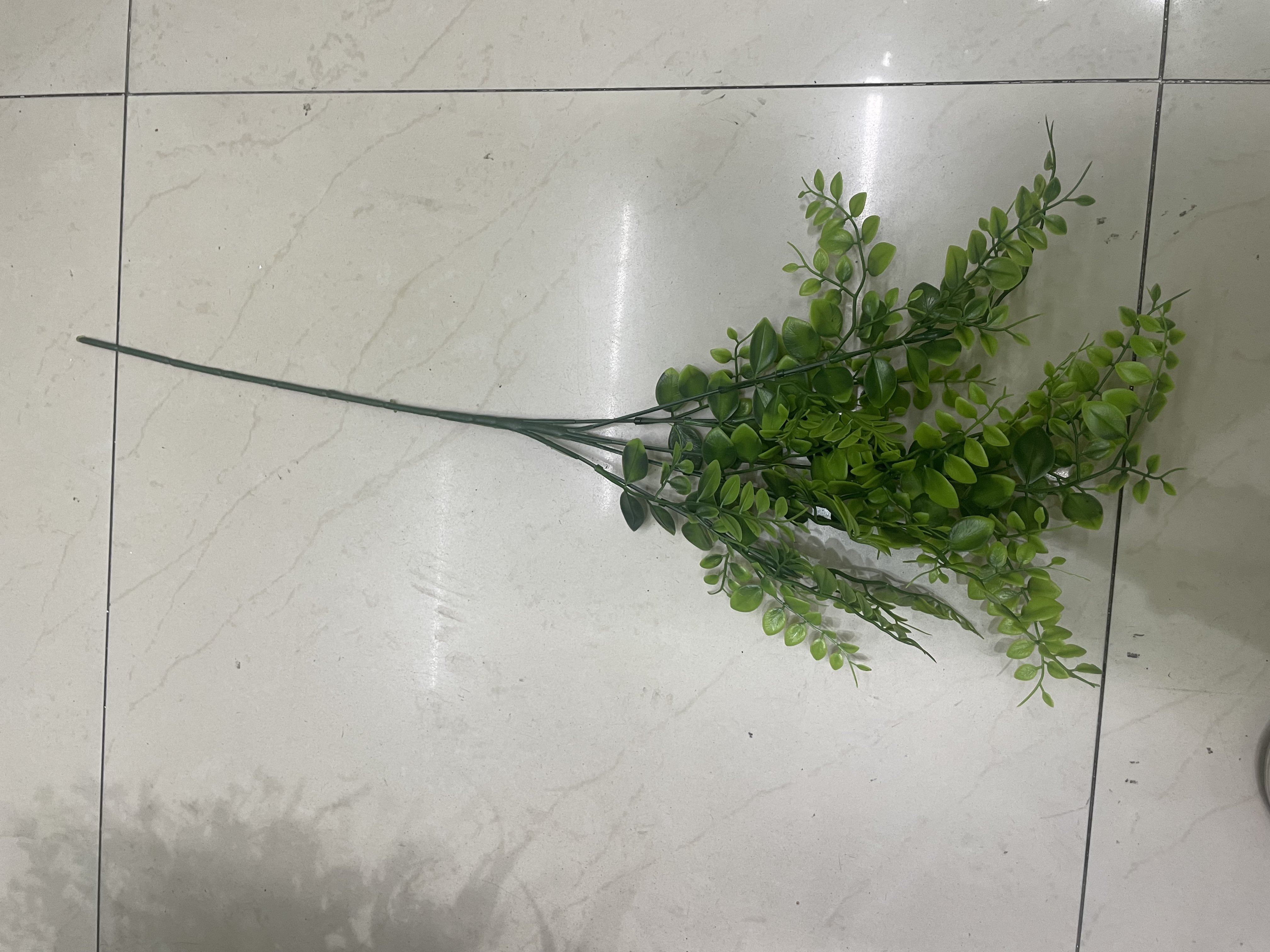 5叉长女贞草，厂家直销用于家庭装饰、植物墙装饰、婚庆装饰