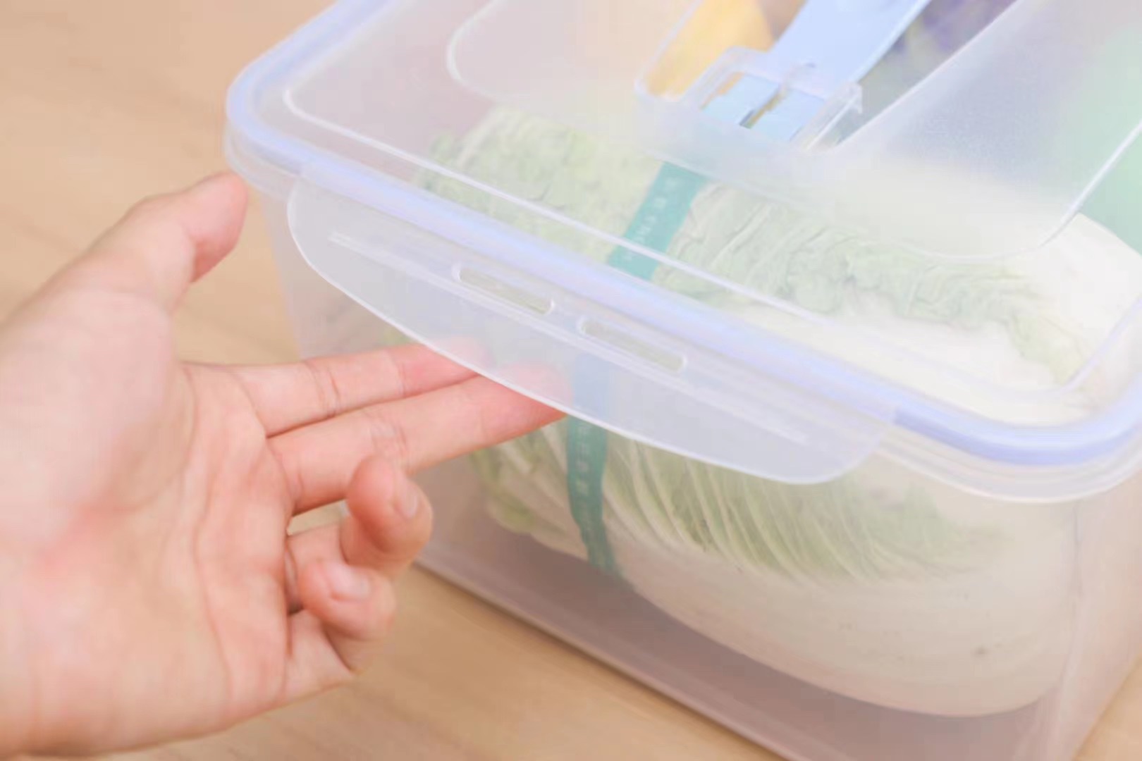 保鲜盒、饭盒实物图