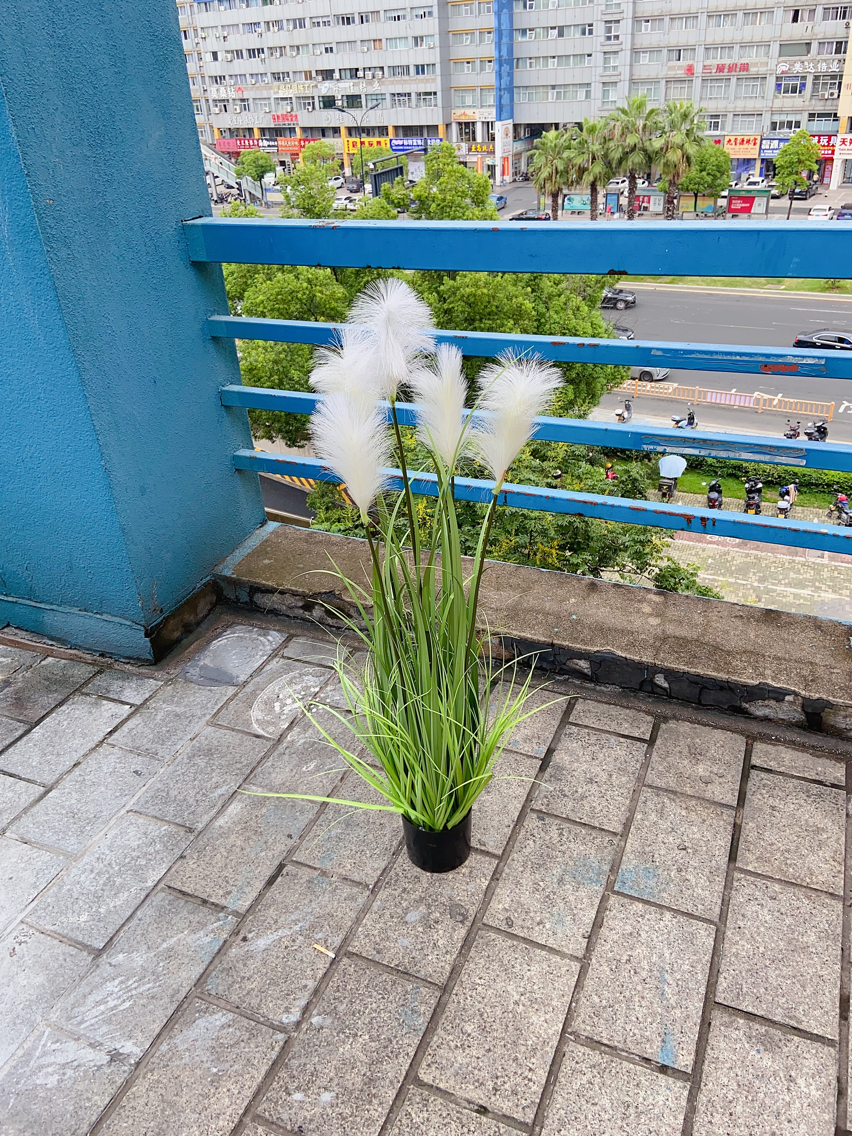 Factory store simulation green plant potted plants, onion grass, reeds, foxtail grass, landscape shooting props, decorative ornaments Application Scenario