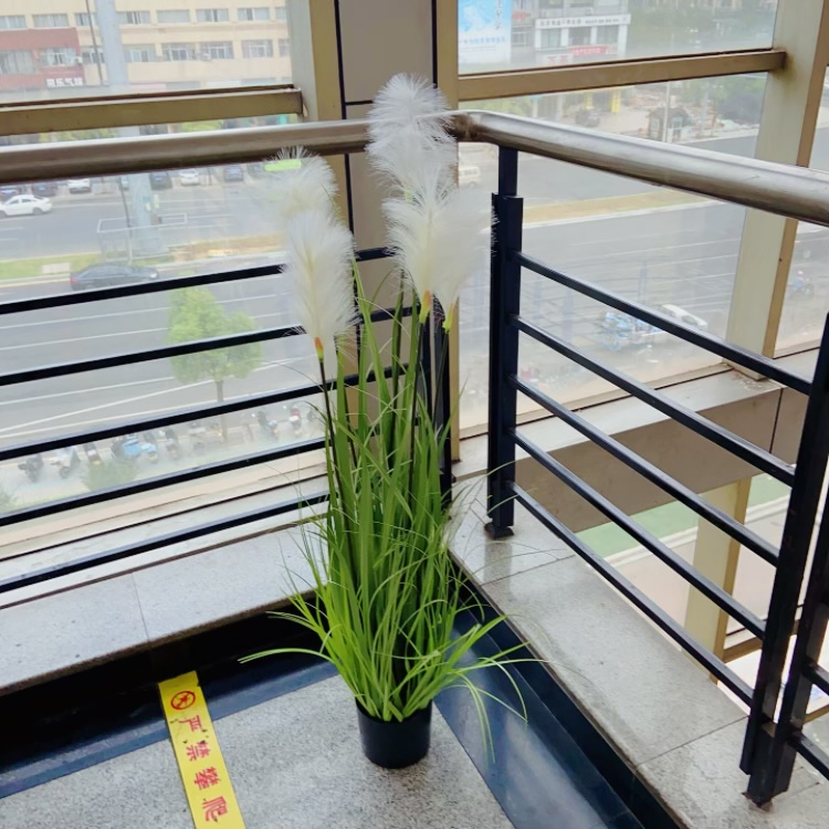 Factory store simulation green plant potted plants, onion grass, reeds, foxtail grass, landscape shooting props, decorative ornaments details Picture