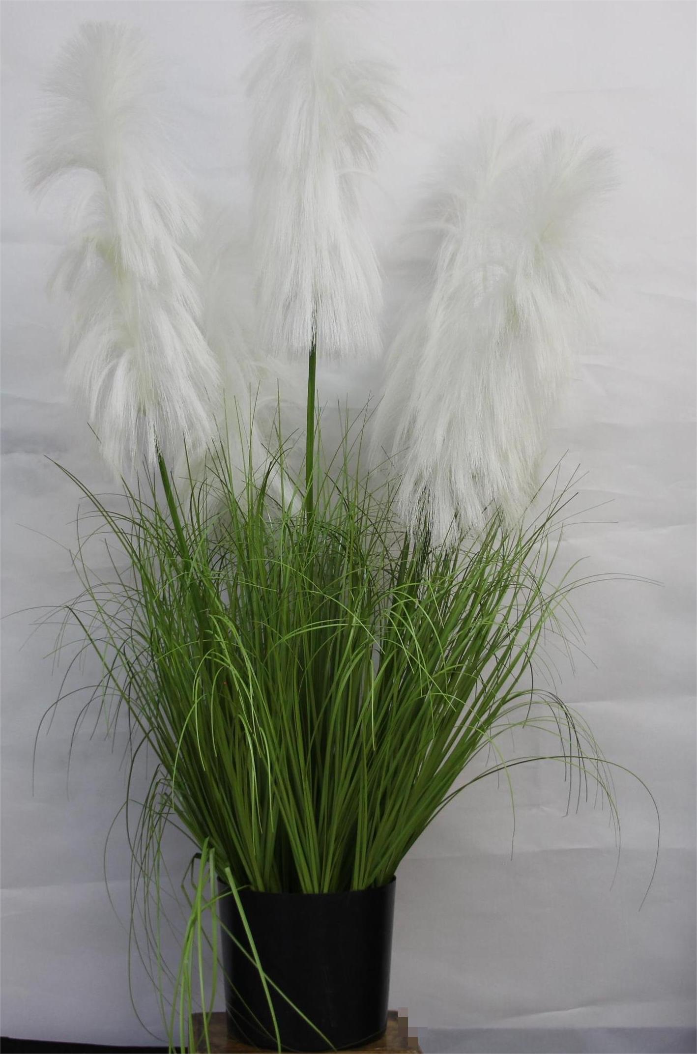 五头芦苇大盆景