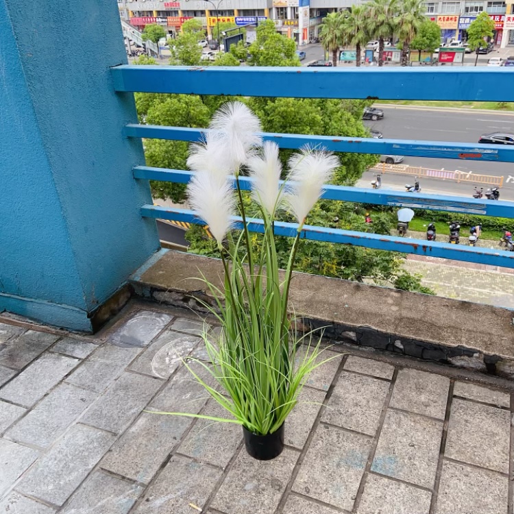 Factory store simulation green plant potted plants, onion grass, reeds, foxtail grass, landscape shooting props, decorative ornaments Specification image