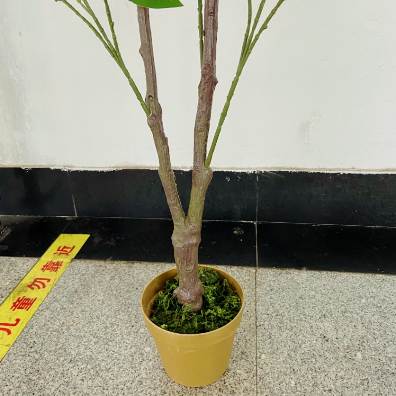 Factory store simulation small tree potted plants, artificial tree landscaping, shooting props, decorative ornaments Specification image