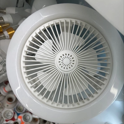 Fan Lamp