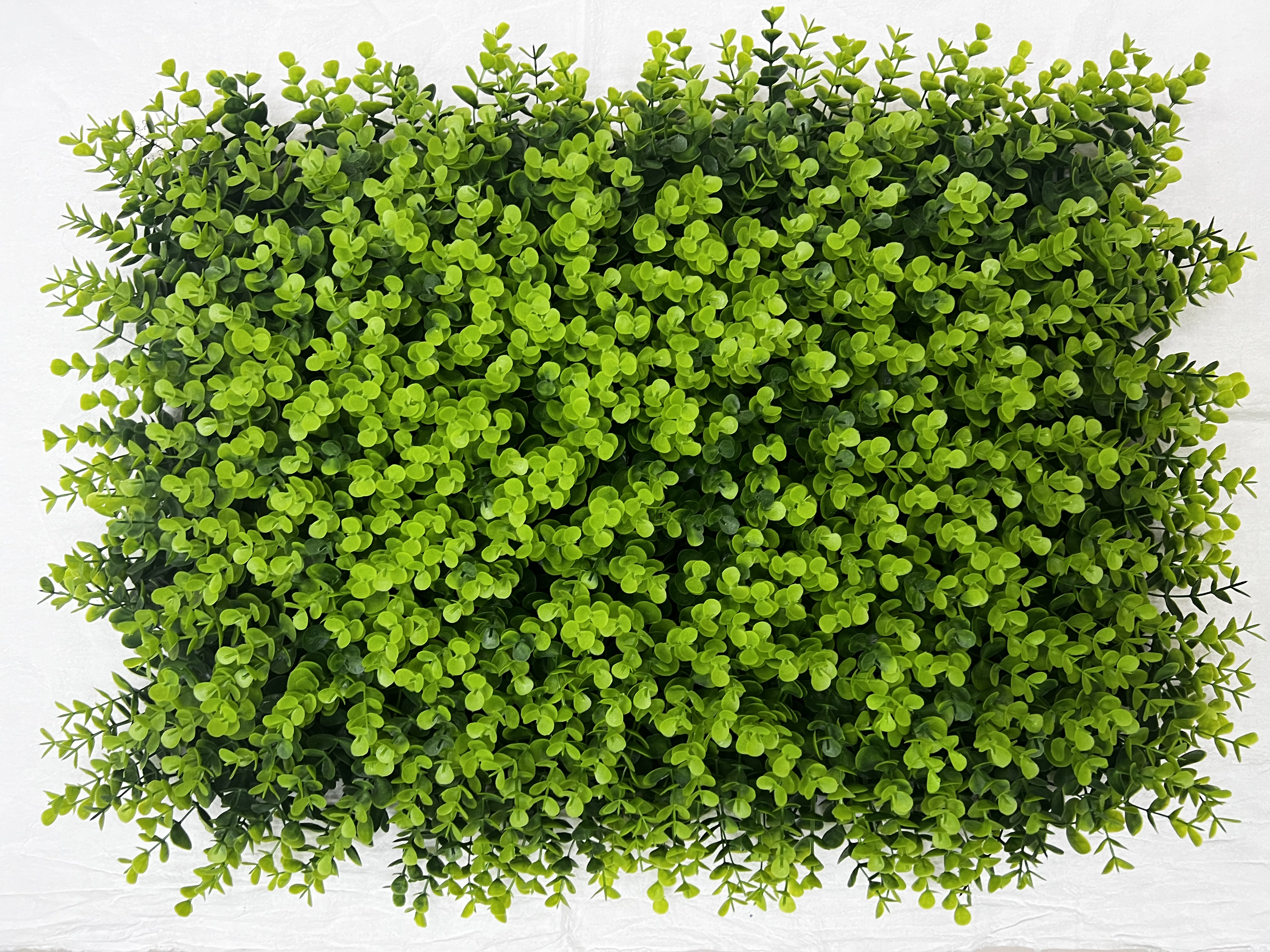 Simulation turf 247mesh 263## 40x60 simulation plant simulation flower simulation green plant Hotel decoration house decoration restaurant decoration false flower cane thumbnail