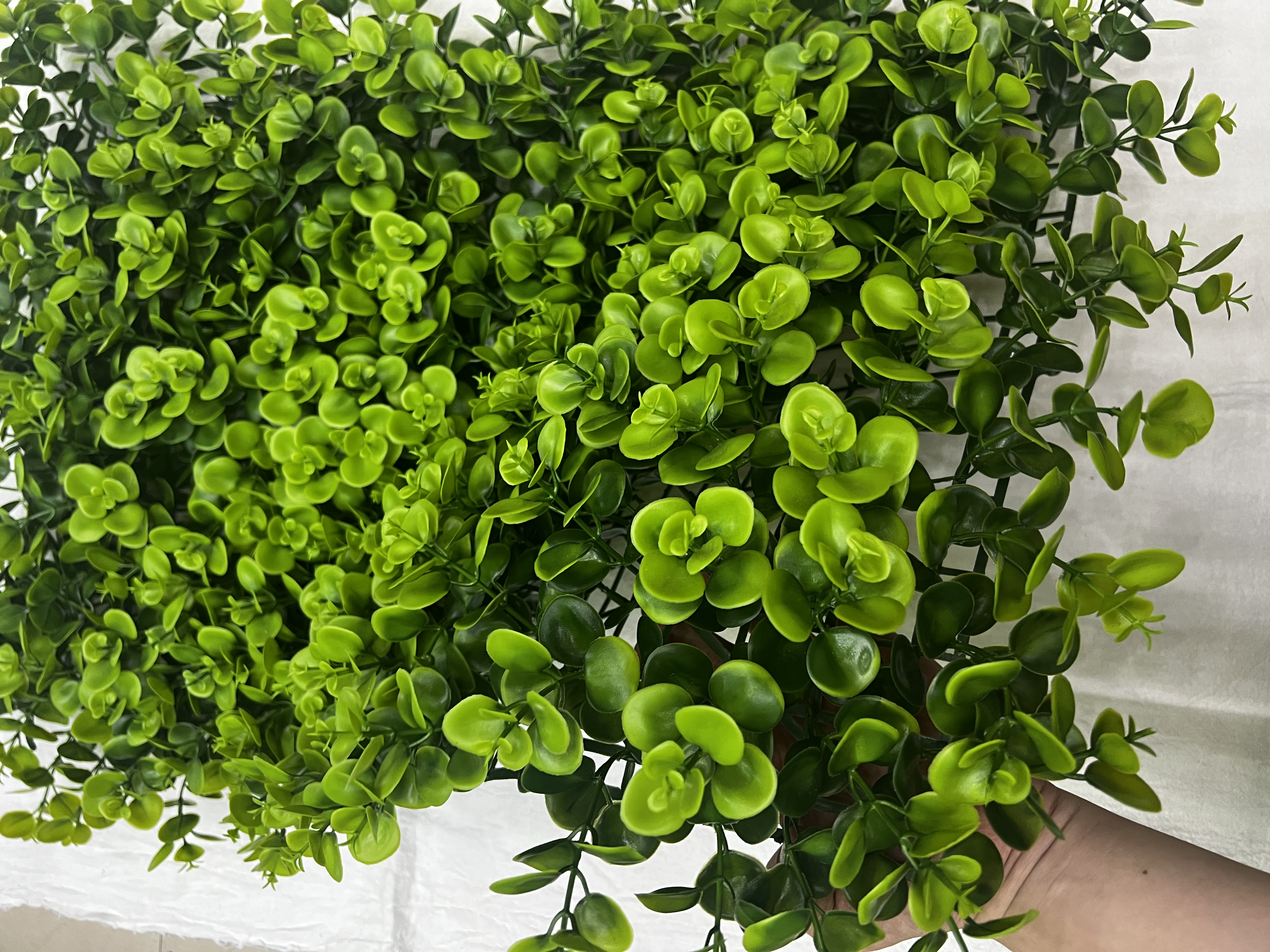 Simulation turf 247mesh 629# 40x60 simulation plant simulation flower simulation green plant Hotel decoration house decoration restaurant decoration fake flower cane details Picture