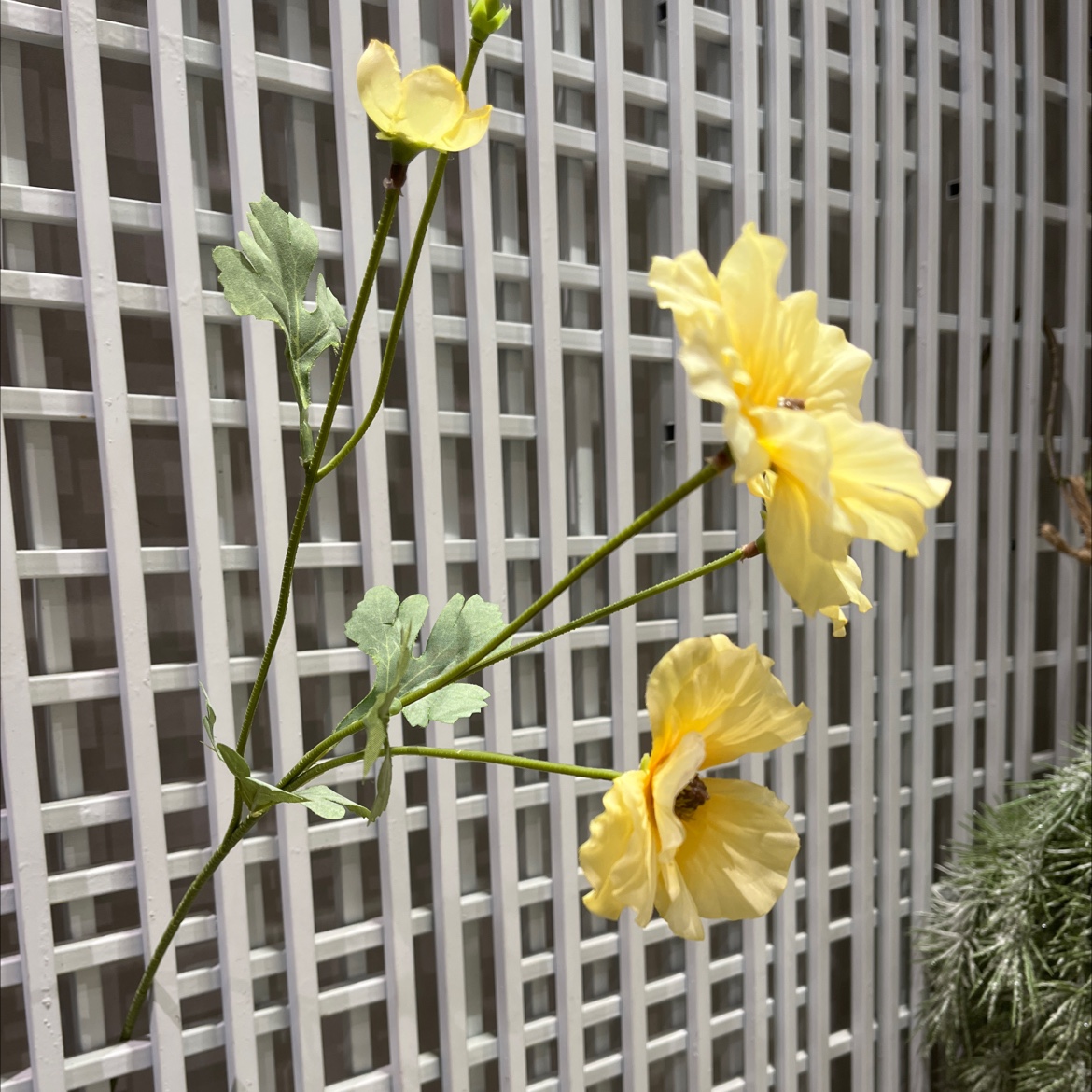工艺品/仿真花/假花产品图