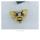 动物蜜蜂胸针细节图
