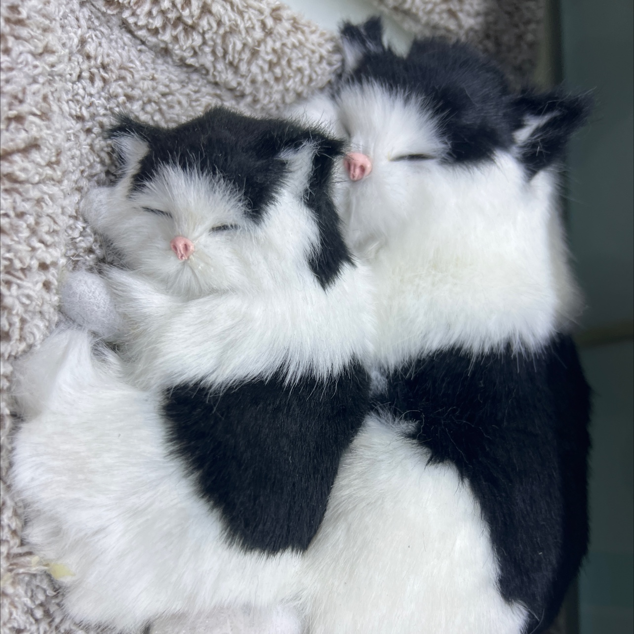 仿真动物实物图