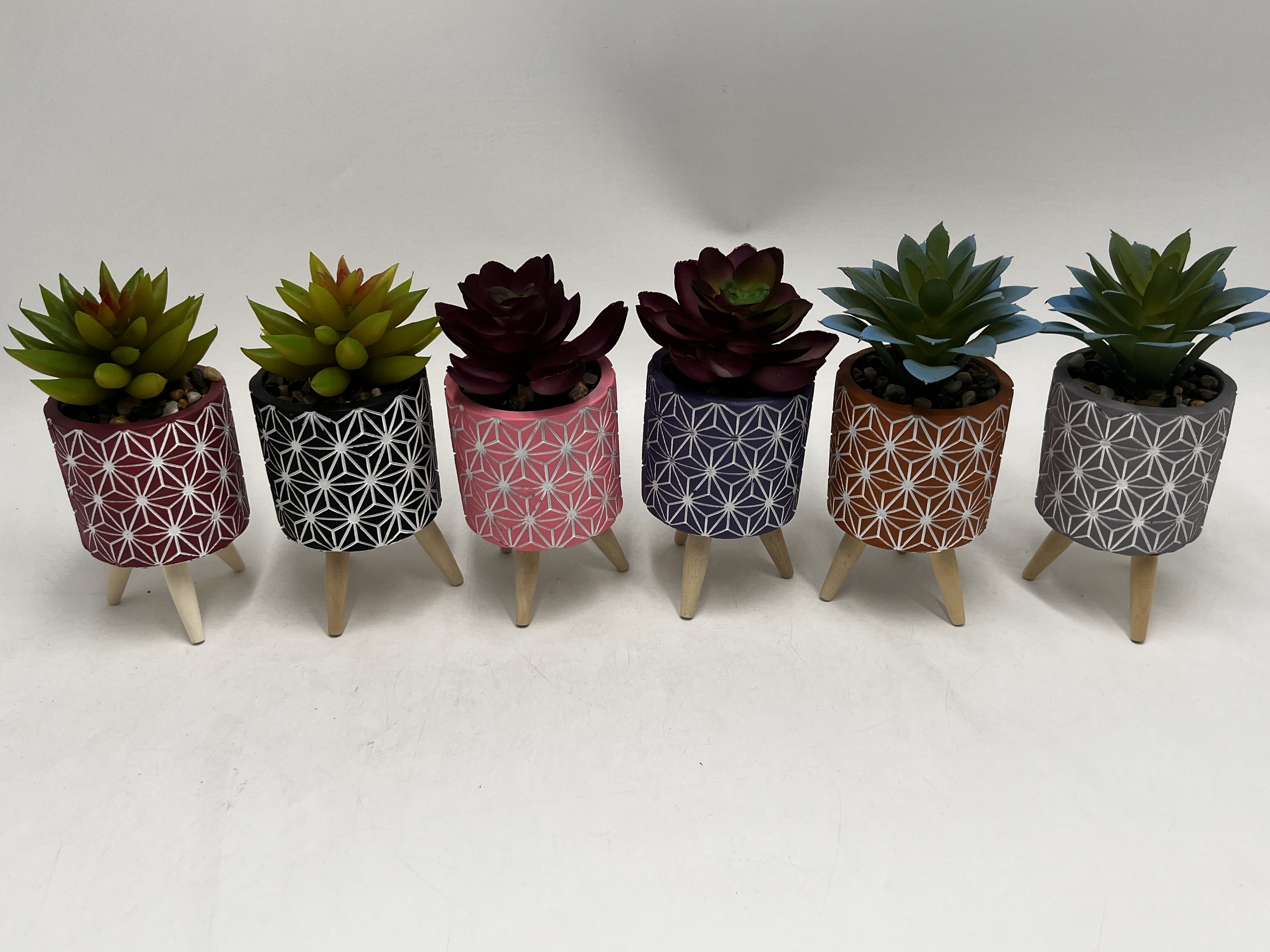 水泥多肉植物花盆