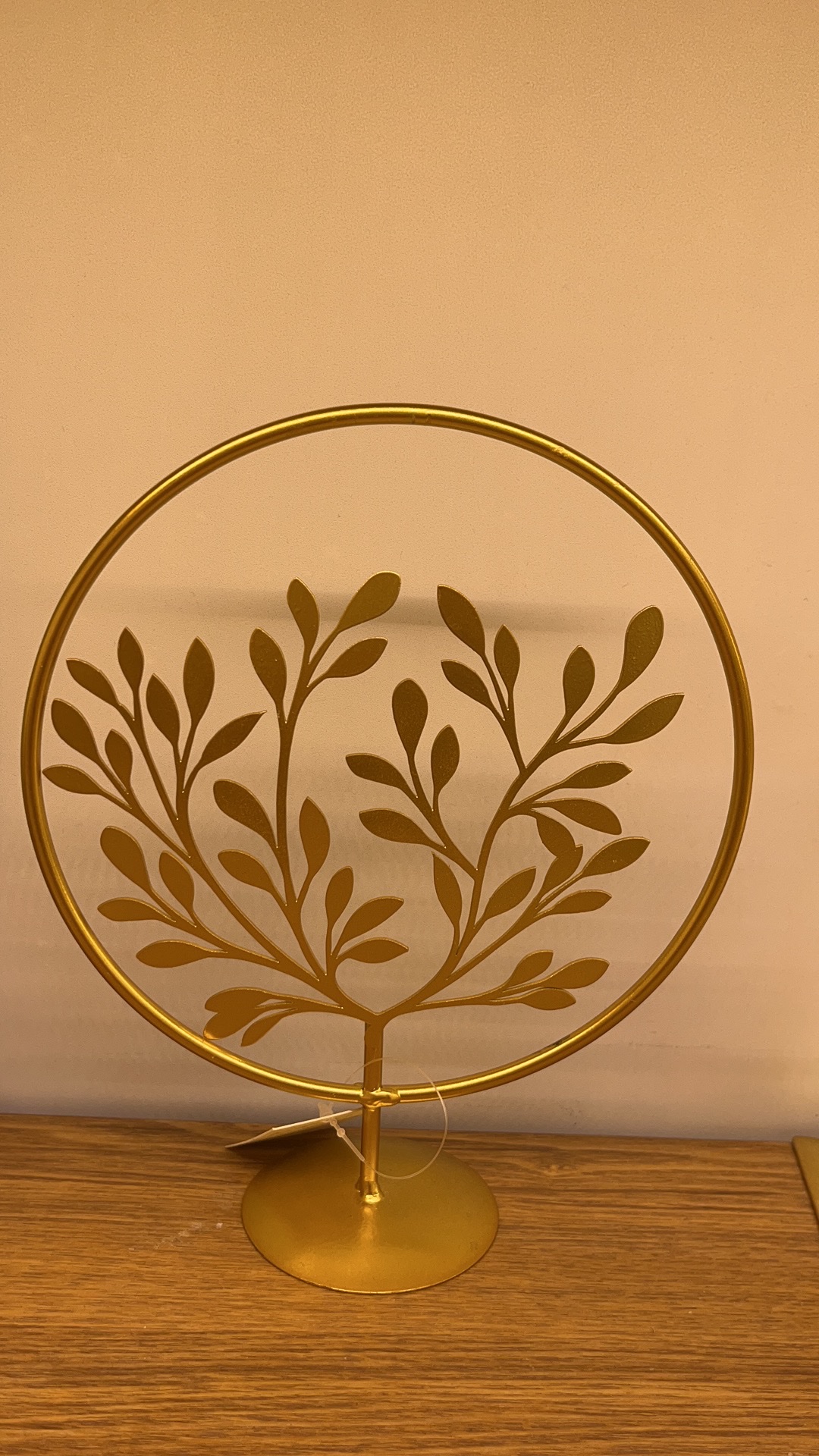 2023最新款爆款小红书抖音居家家居装饰摆件11