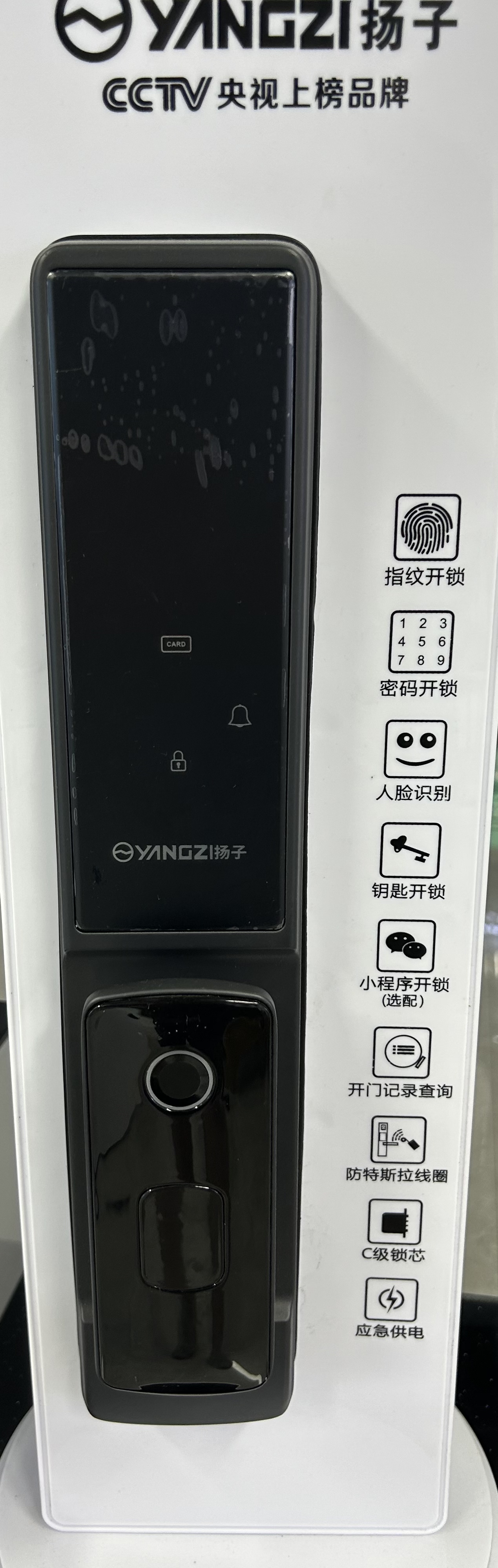 Yangtze Automatic