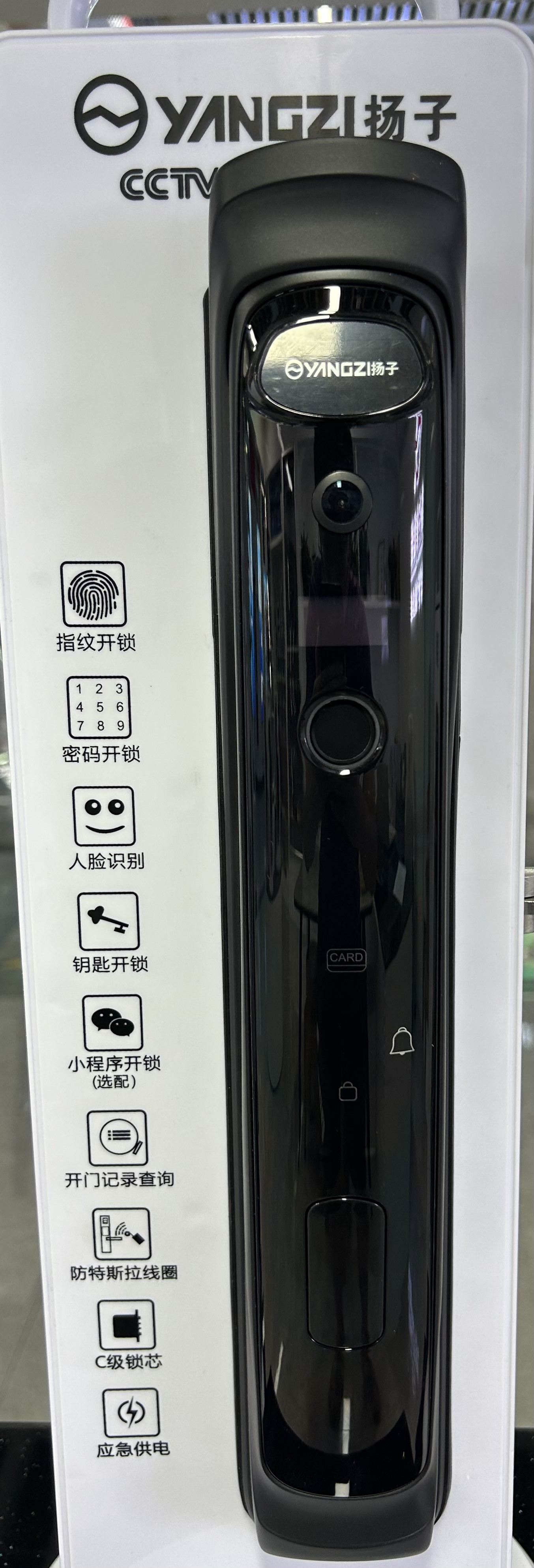 Yangzi K15 Cat Eye Model