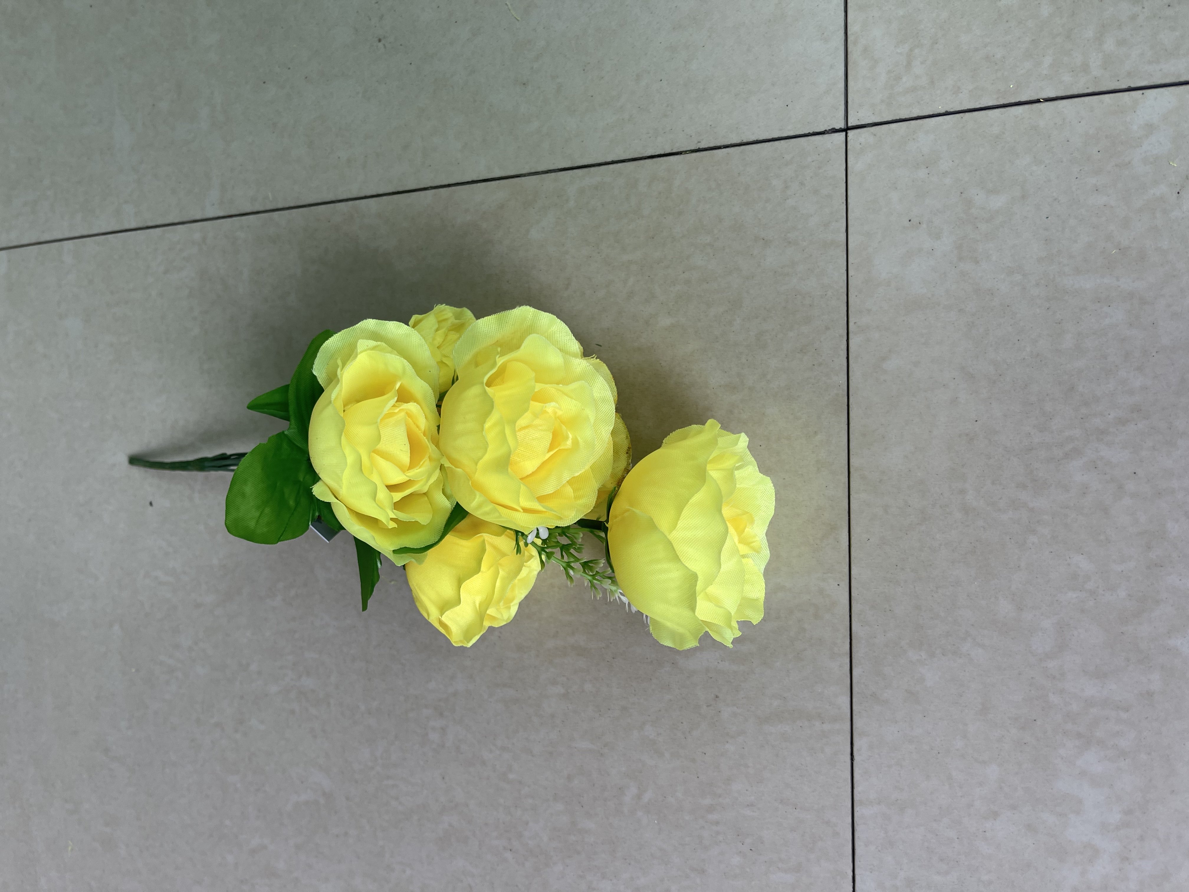 5个头鸡蛋花