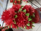限时抢购！7头中孔杆大菊花，美丽独特，超值价格，不买绝对后悔！