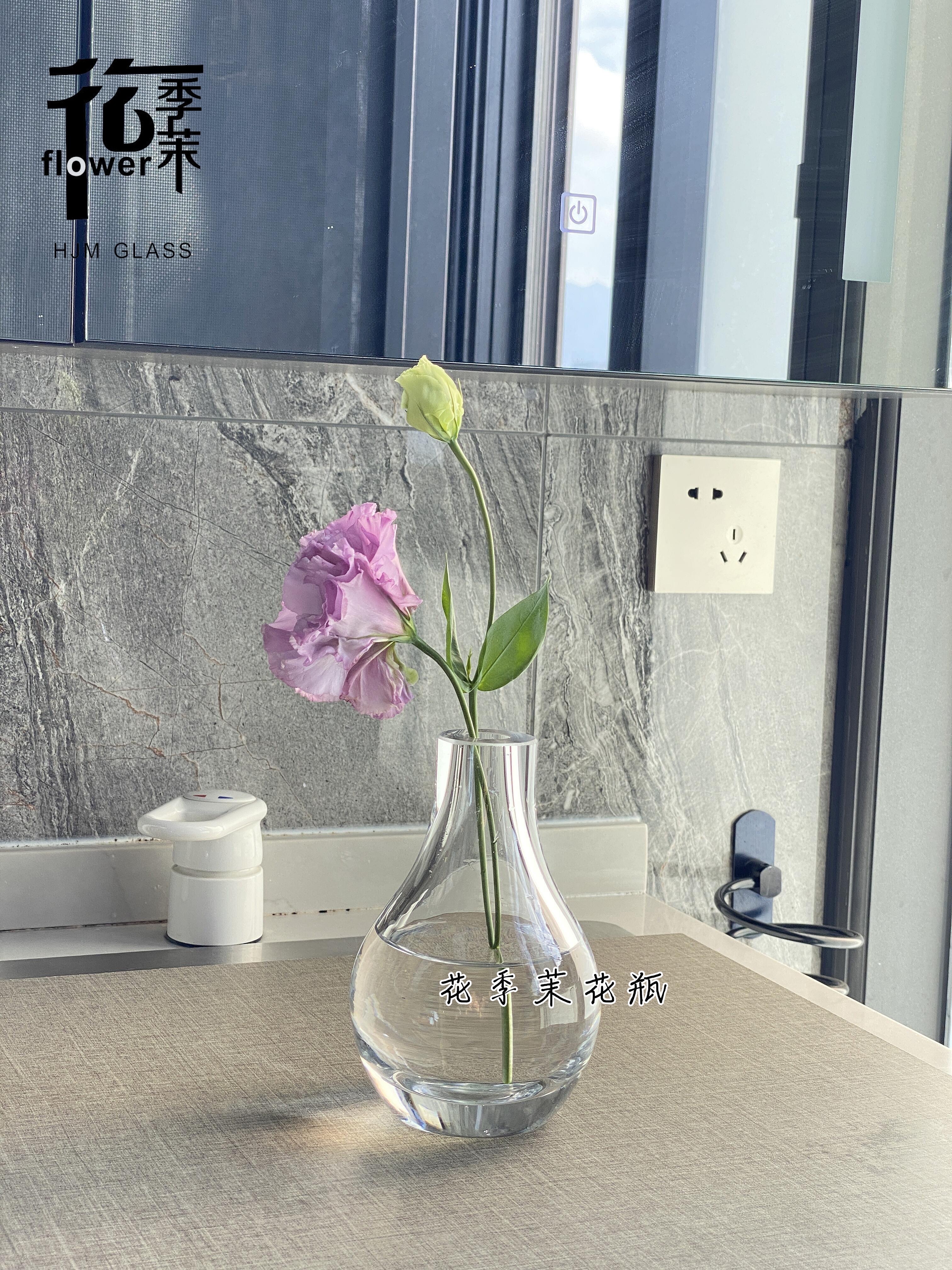 HJM- Modern, simple and light luxury new thickened transparent glass vase, home living room coffee table, model room decoration, flower arrangement, hydroponic creative display wholesale Application Scenario