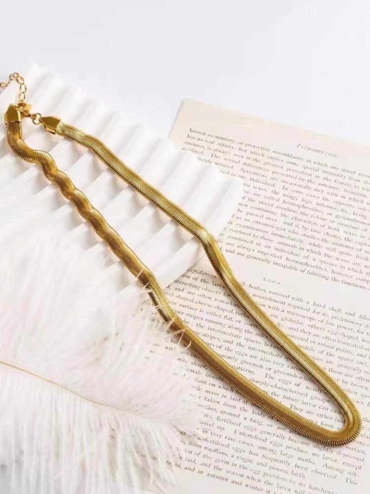 Korean European goods French cold wind titanium steel metal thick chain simple snake bone collarbone necklace female full figure