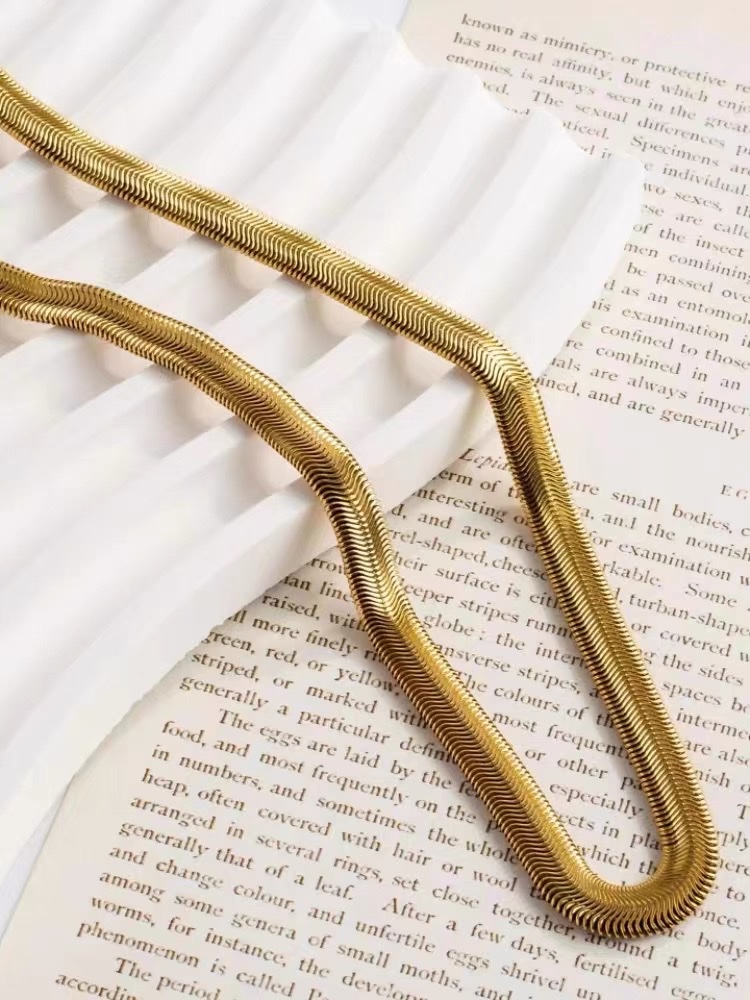 Korean European goods French cold wind titanium steel metal thick chain simple snake bone collarbone necklace female details Picture