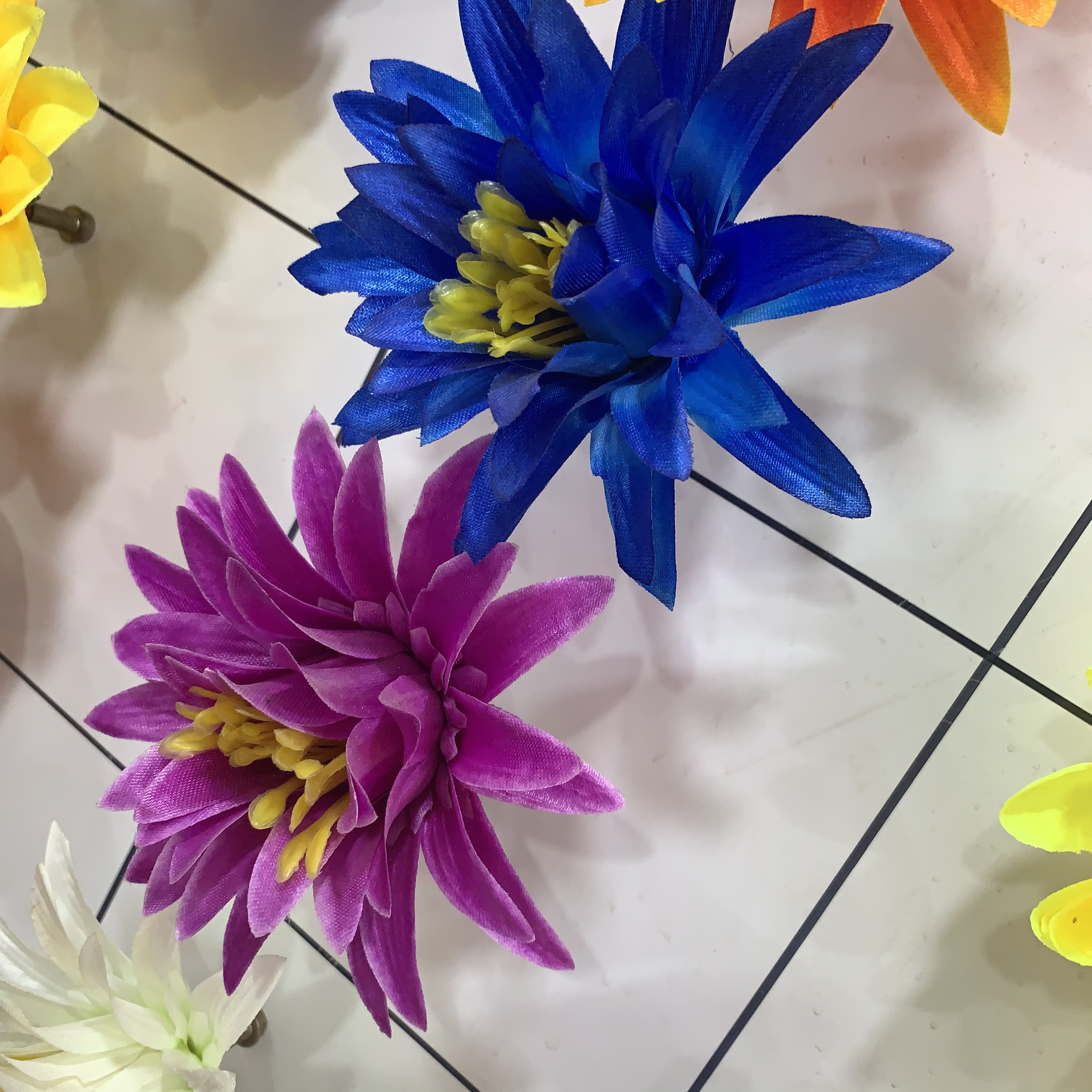 Dragon fruit flower head