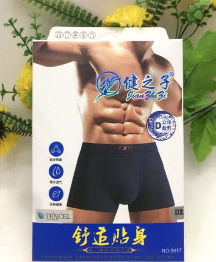 Youth Imitation Modal Men's Inner Boxers 9617