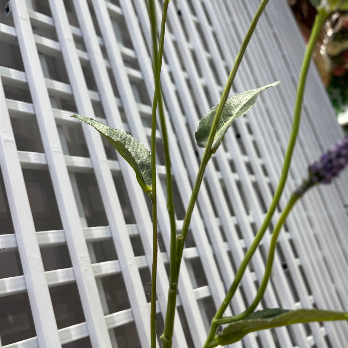 仿真花/工艺品/假花细节图
