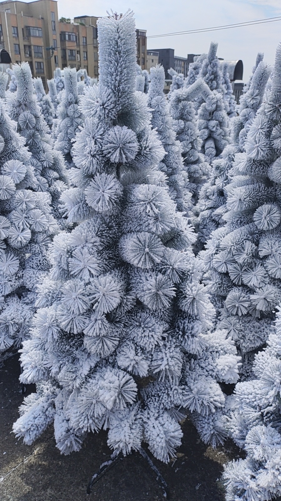 布质/软胶积木实物图