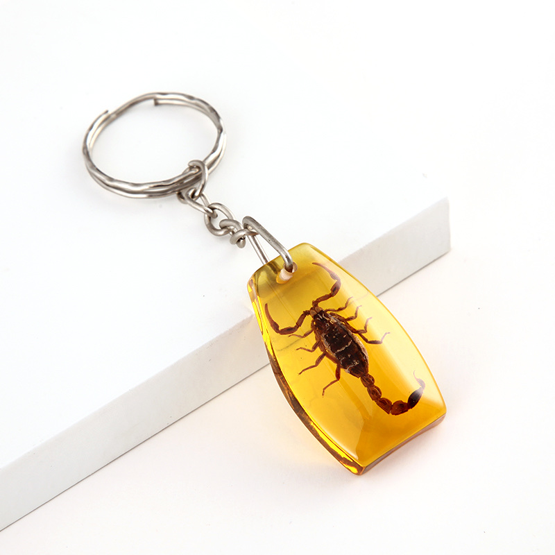新品上市/天然昆虫标本/蝎子钥匙扣/避邪保平安/挂包包钥匙/赠品等你来拿产品图
