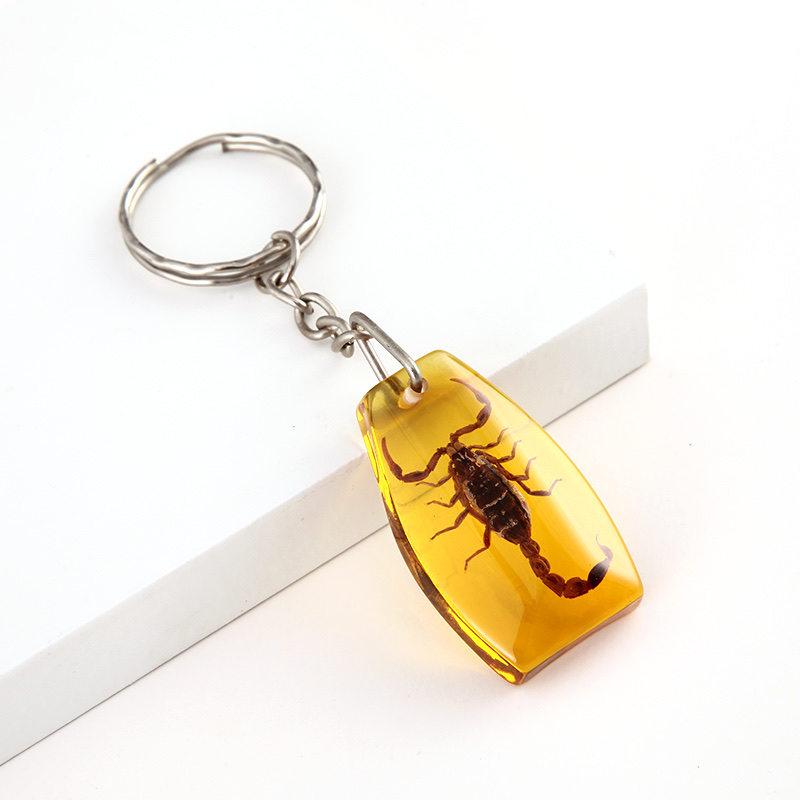 新品上市/天然昆虫标本/蝎子钥匙扣/避邪保平安/挂包包钥匙/赠品等你来拿产品图