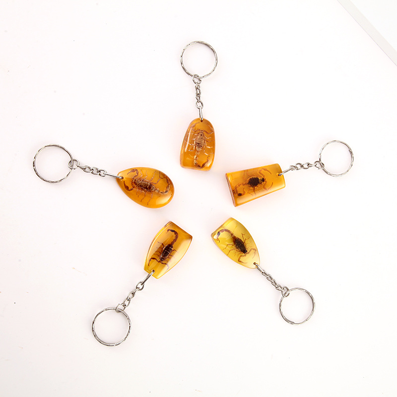 新品上市/天然昆虫标本/蝎子钥匙扣/避邪保平安/挂包包钥匙/赠品等你来拿白底实物图