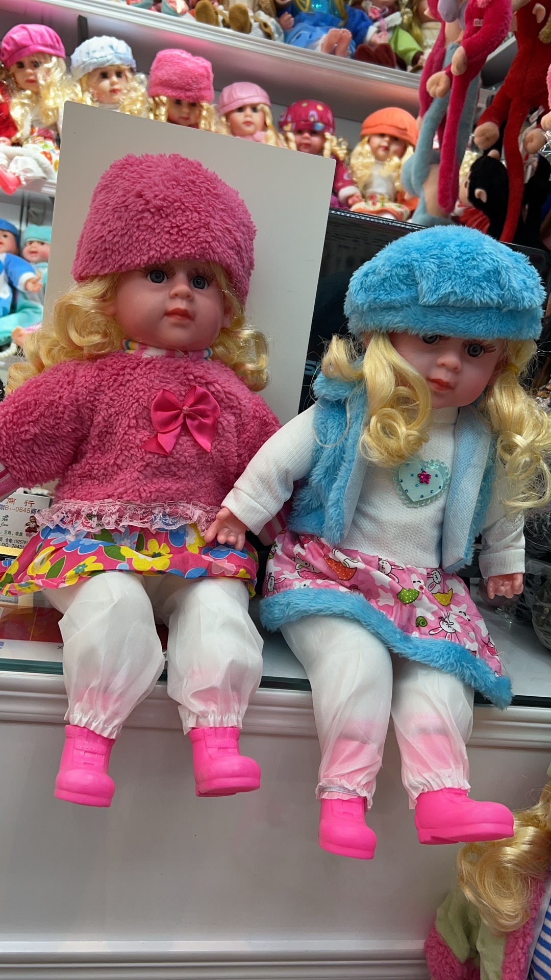 玩偶/毛绒玩具/价廉物美白底实物图