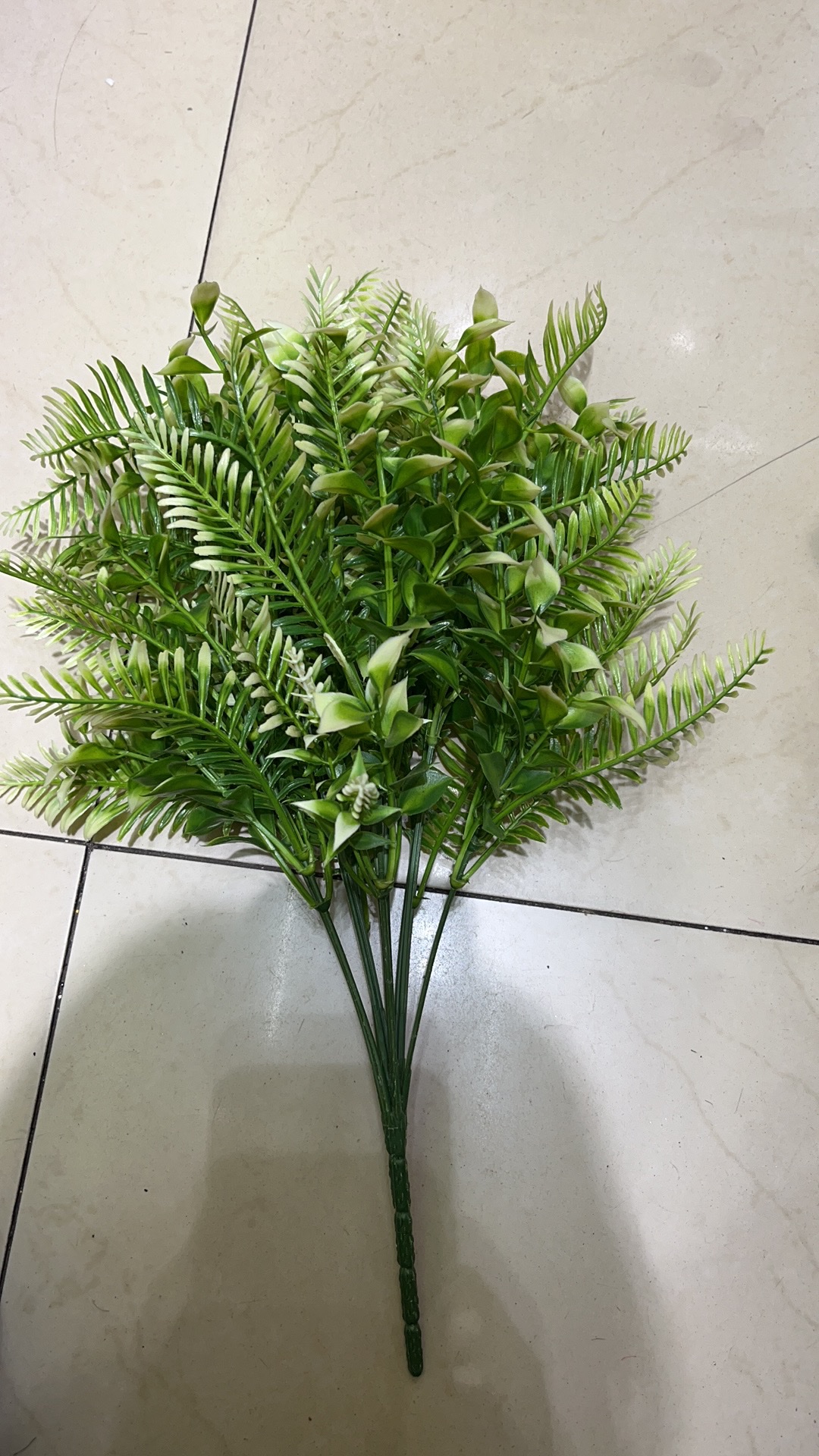 龙江草仿真植物仿真植物仿真植物仿真植物仿细节图