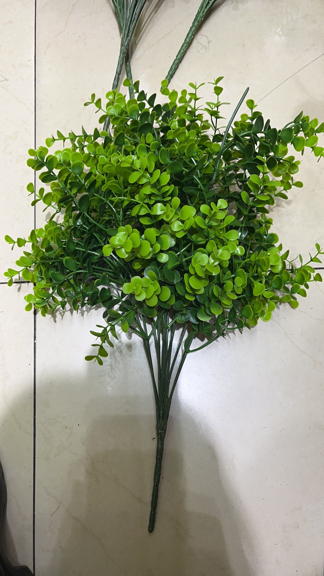 仿真植物实物图