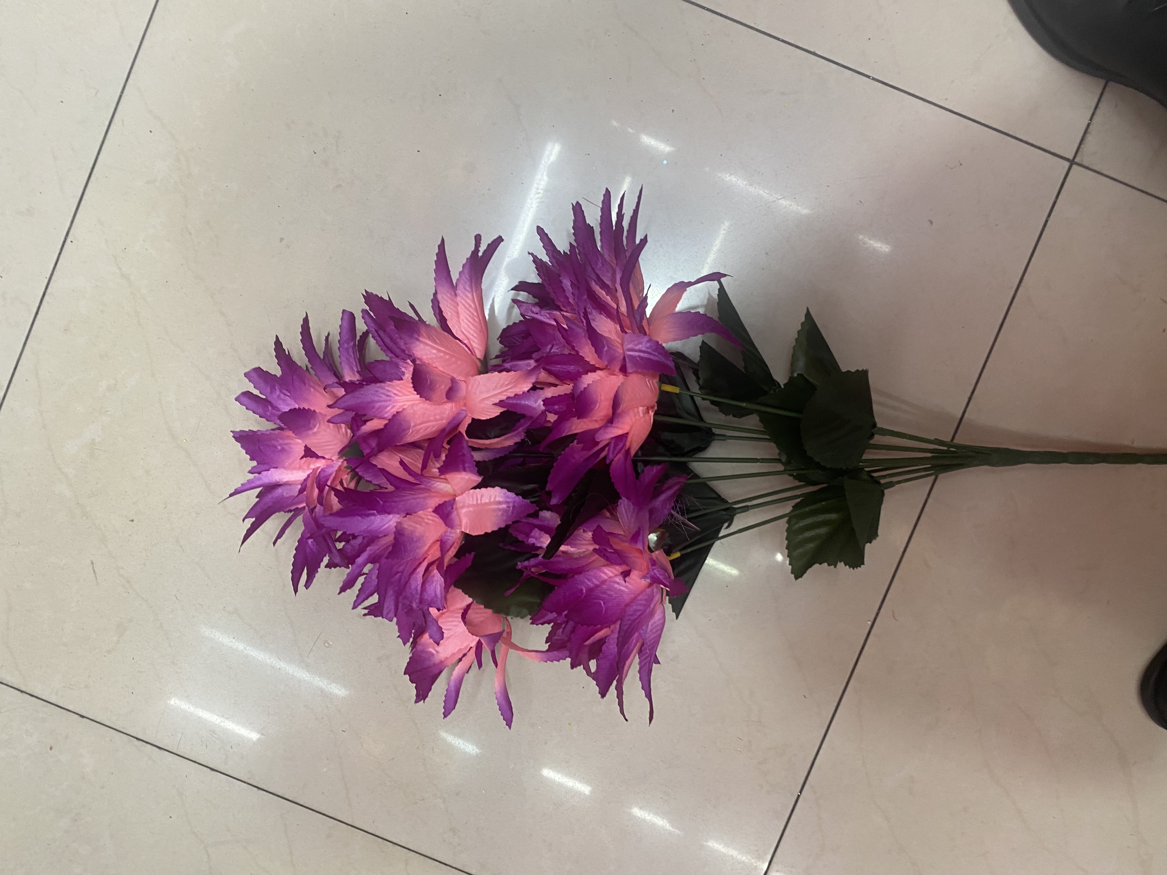 七头菊花