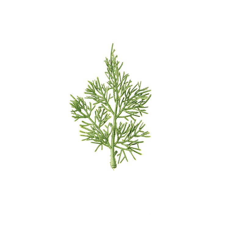 软草PE新料圣诞装饰叶子