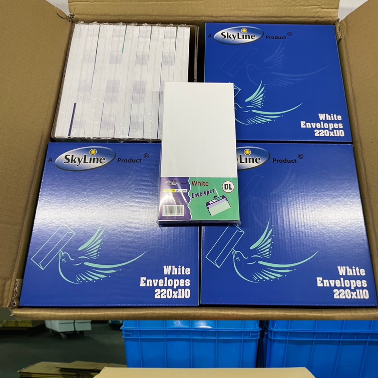 skyline 80g  DL 110x220 white envelope 80gsm white  thumbnail