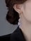 小众设计感高级2023新款时尚气质名媛夸张流苏耳环个性洋气耳饰802细节图