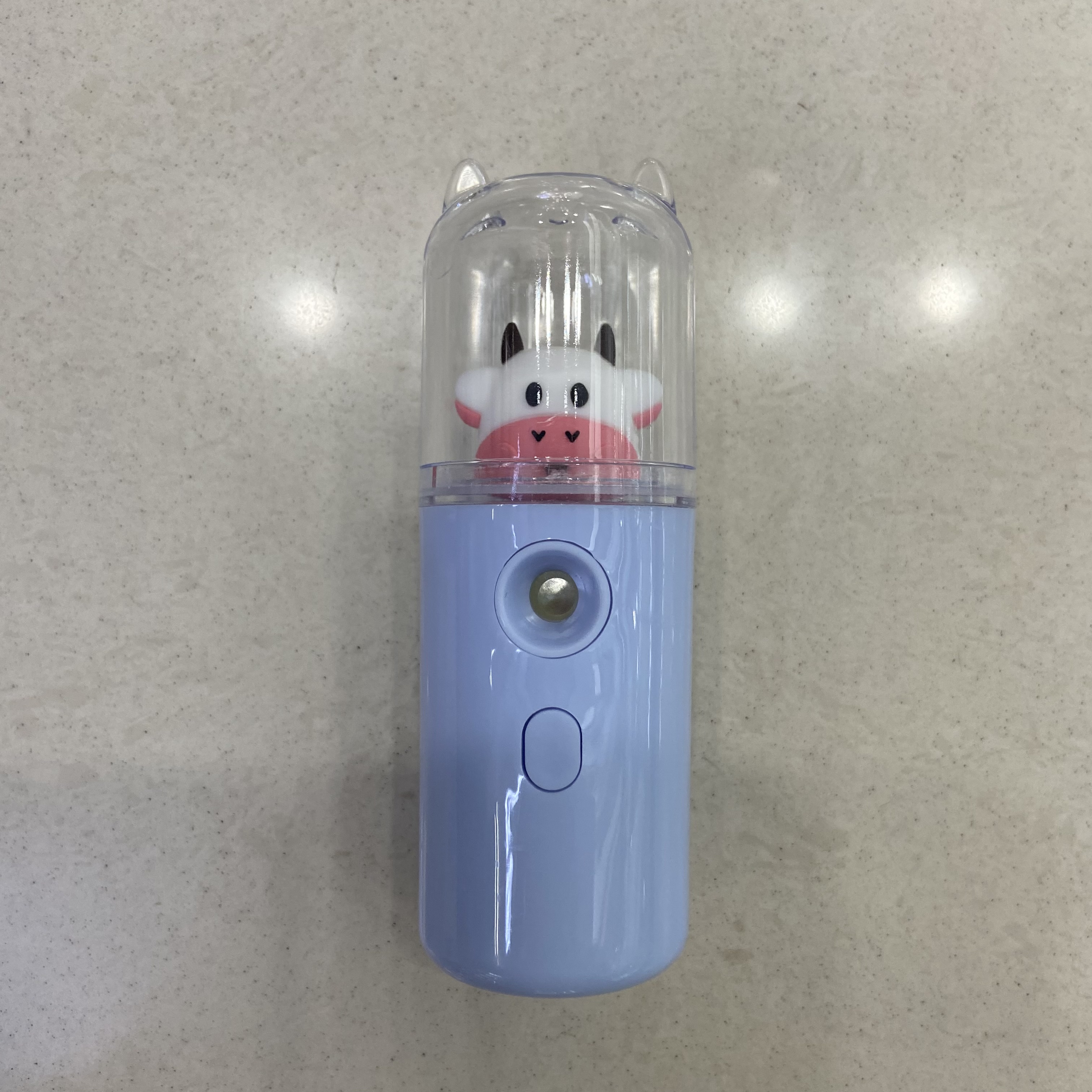 Pet Cold Spray Portable Charging Spray Water Replenisher Handheld Moisture Small Humidifier details Picture