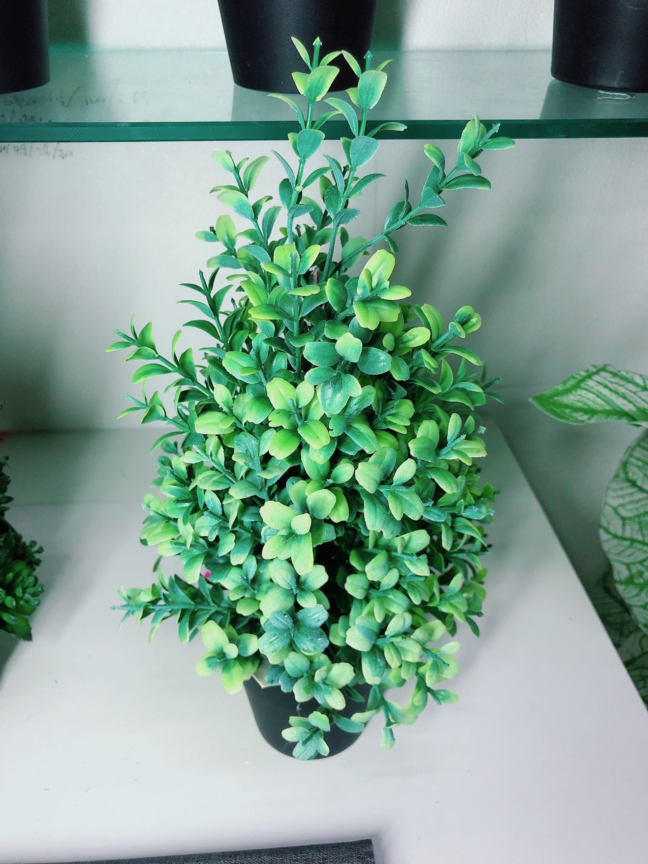 用品塑料仿真植物假花装饰品仿真花详情图10