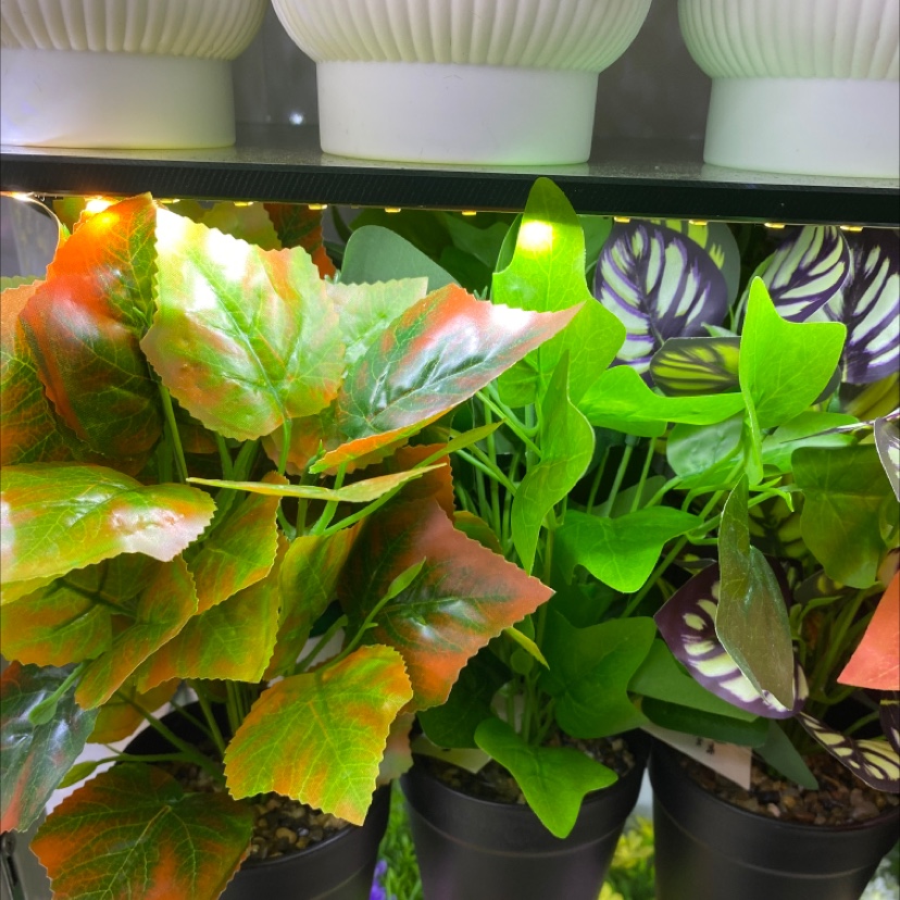 金粉圣诞用品 塑料仿真植物 仿真花清明花假花装饰品圣诞节礼物花艺摆件家居装饰品仿真花