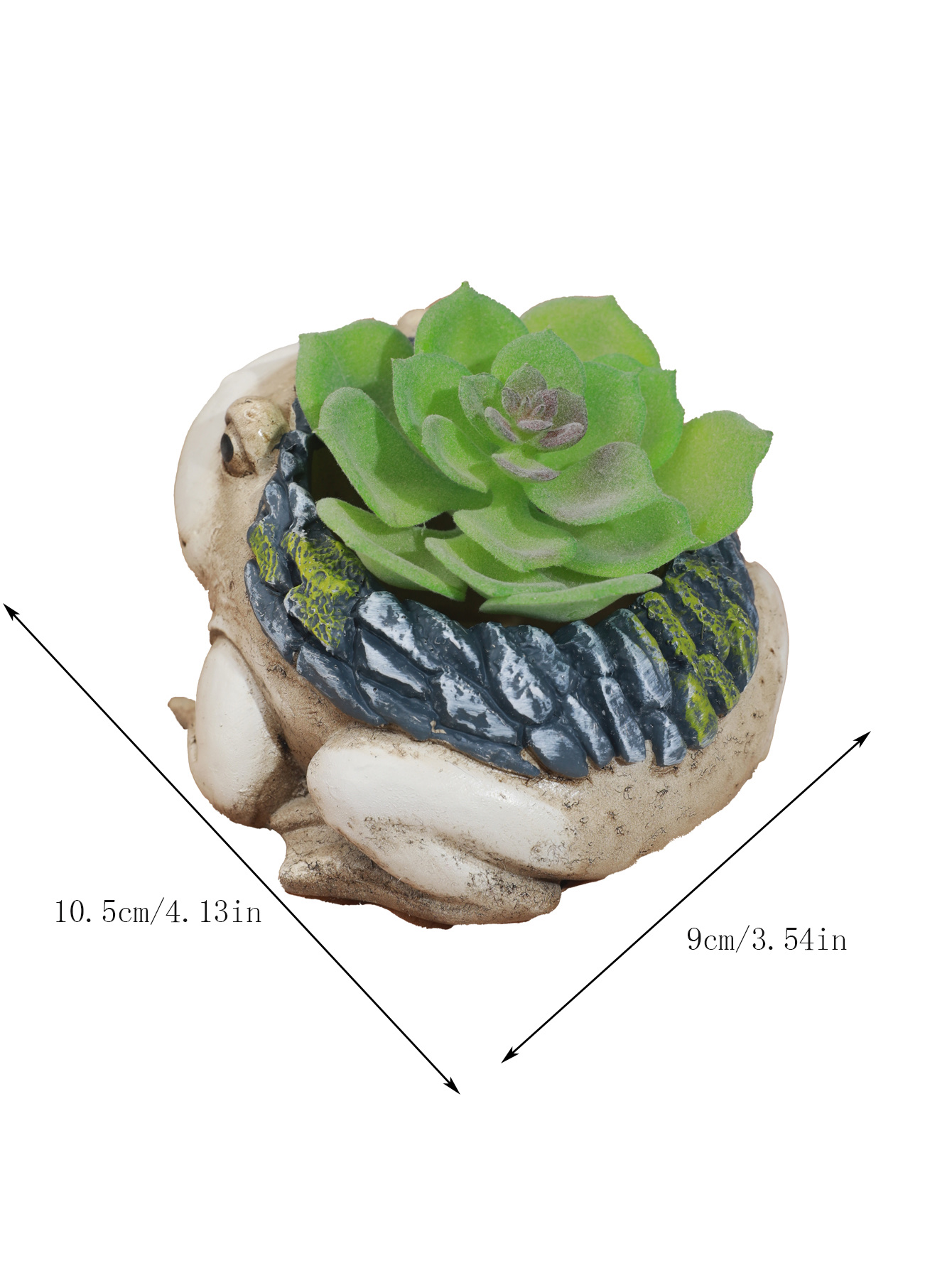 一件青蛙多肉花盆d雕像摆件树脂工艺品摆件白底实物图