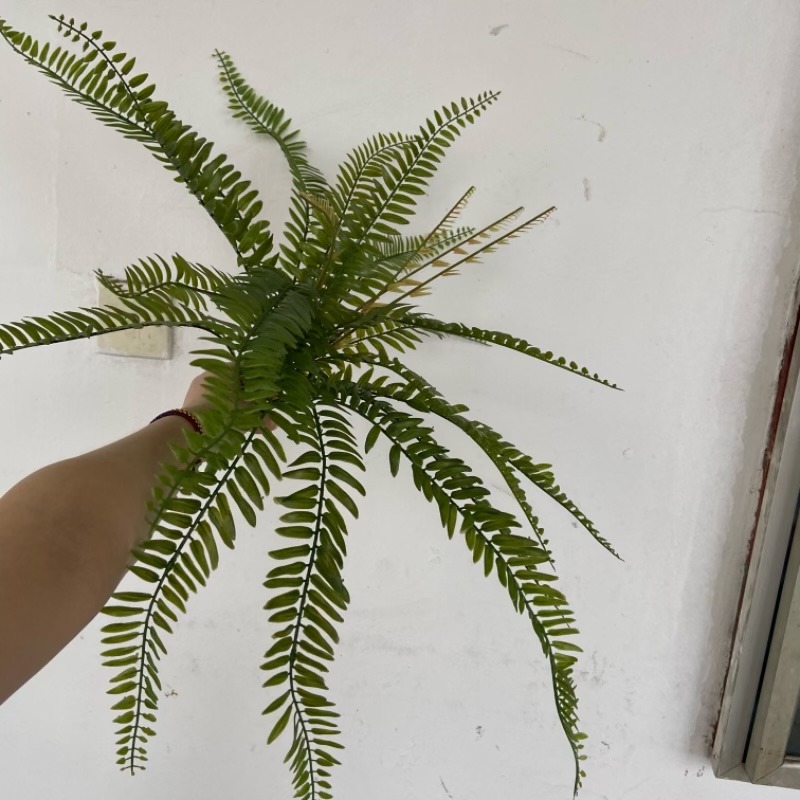 Artificial green plant decorations, indoor plastic artificial plant ornaments, realistic artificial flower artworks, home decoration detail image 5