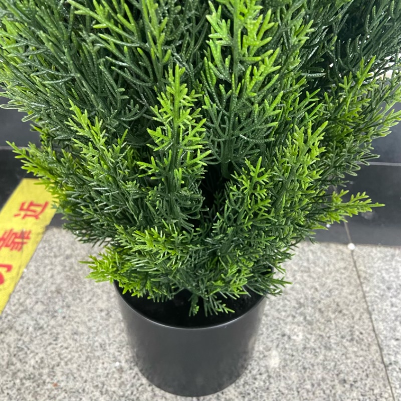 仿真植物实物图