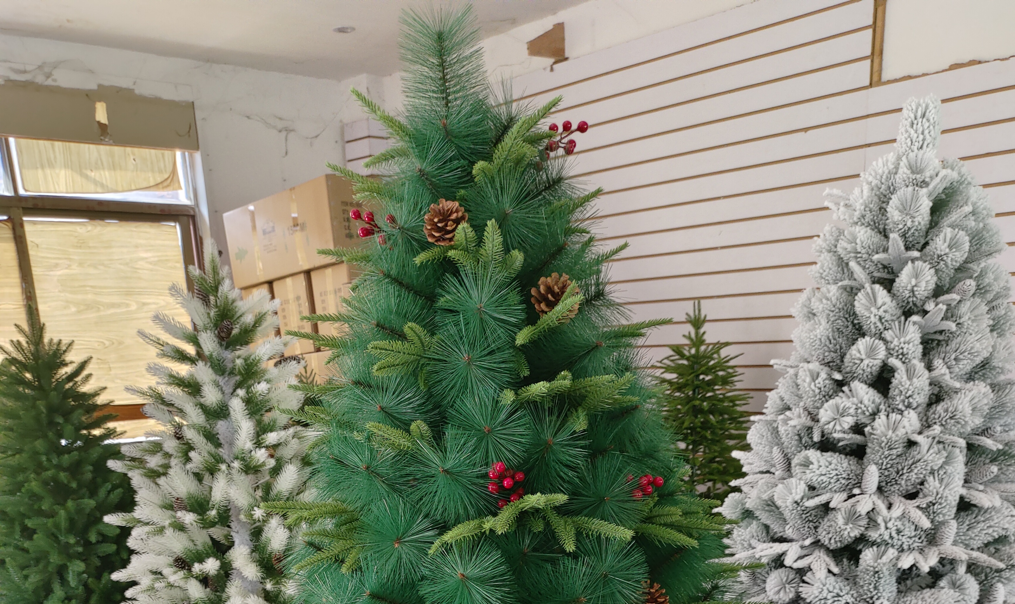 Pine needles and PE leaves, a mixed tree of red and pinecone fruits details Picture